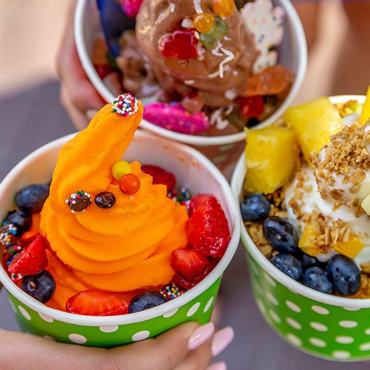 Mojo Yogurt Frozen Yogurt Ice Cream Toppings