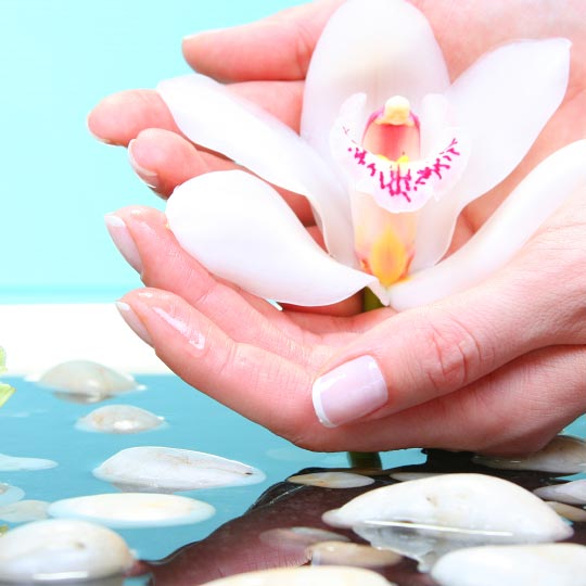 7 Day Nail Spa Manicure Pedicure Waxing Eyelash Extensions Quality Affordable
